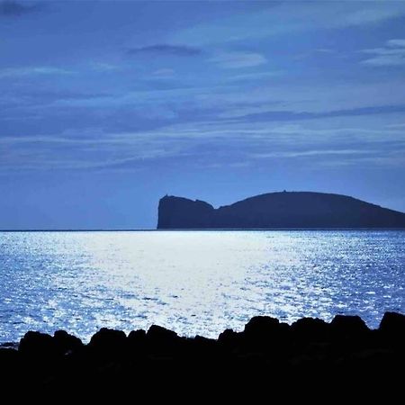 Alghero Sun & Sea - Spiaggia A 50 Metri Экстерьер фото